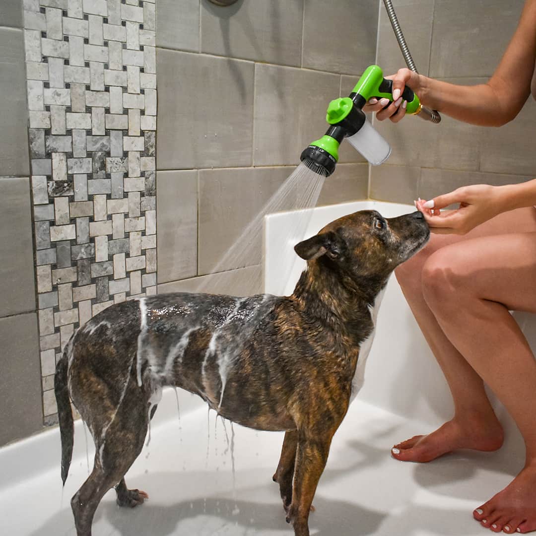 Einfaches und schnelles Reinigungs-Spray für Tiere
