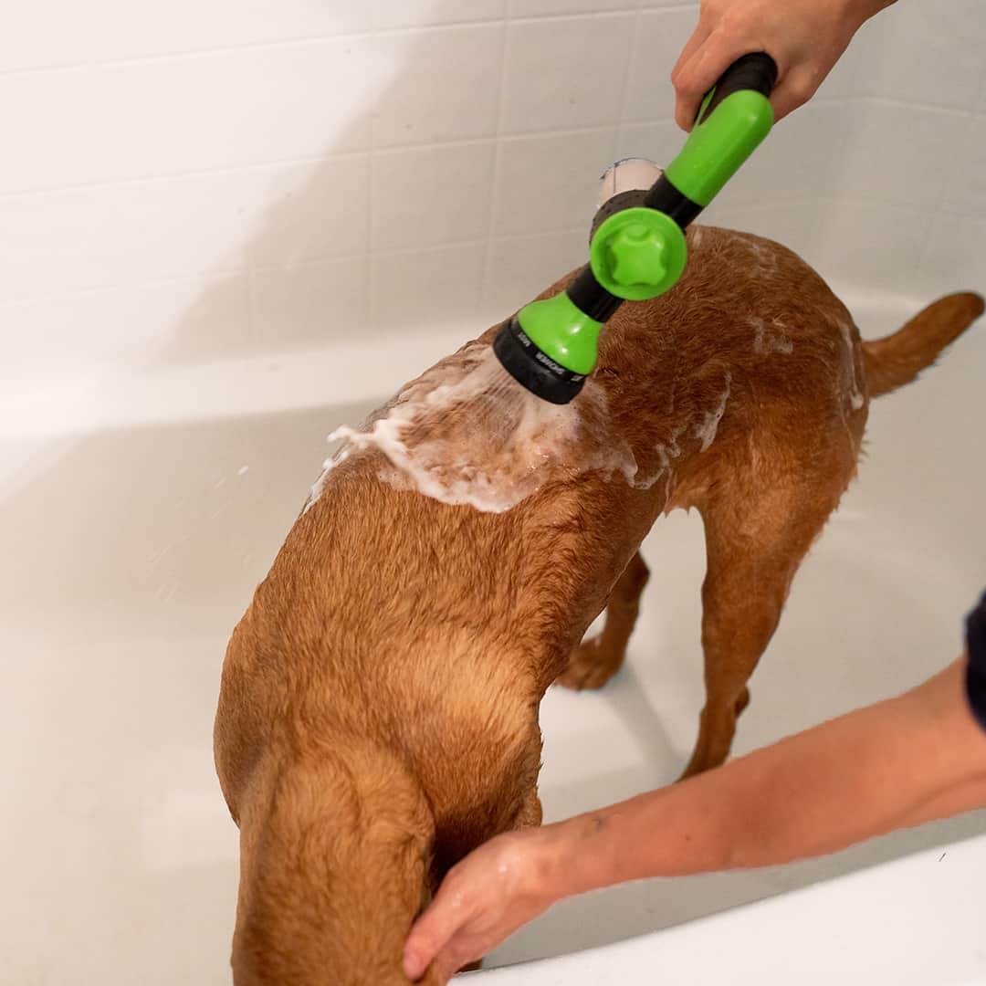 Einfaches und schnelles Reinigungs-Spray für Tiere