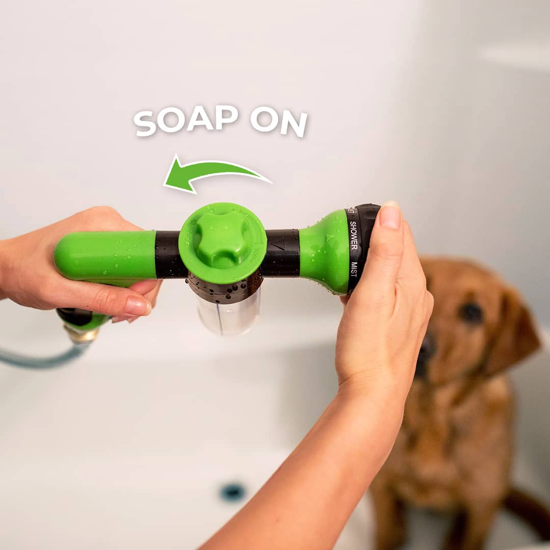 Einfaches und schnelles Reinigungs-Spray für Tiere
