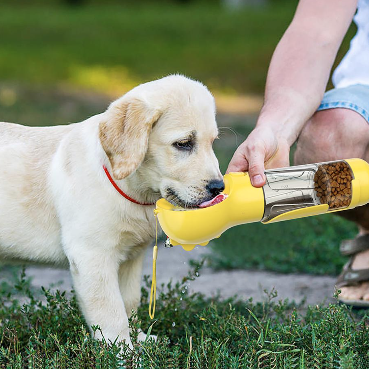 4-in-1 Flasche zur Hydration und Ernährung Ihres Hundes 